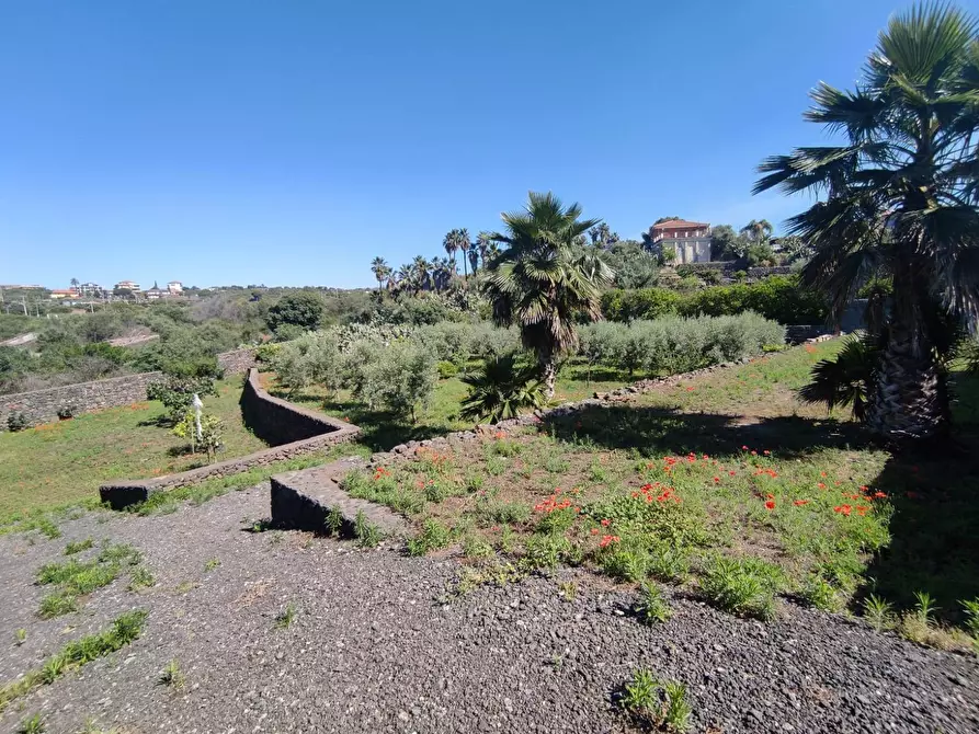 Immagine 1 di Terreno agricolo in vendita  a Misterbianco
