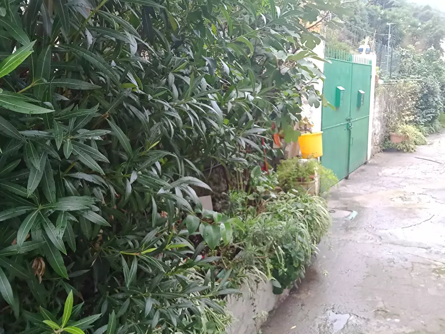 Immagine 34 di Porzione di casa in vendita  in Via Gallardi 8 a Ventimiglia