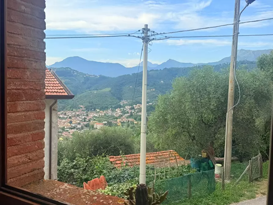 Immagine 13 di Appartamento in affitto  a Massarosa