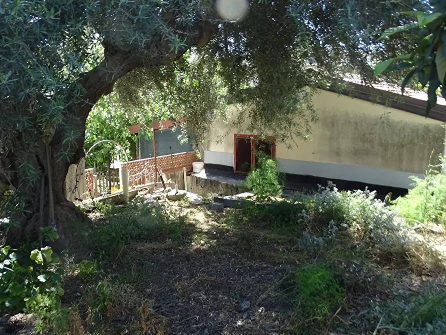 Immagine 16 di Casa indipendente in vendita  in Via delle Albicocche 17 a Catania
