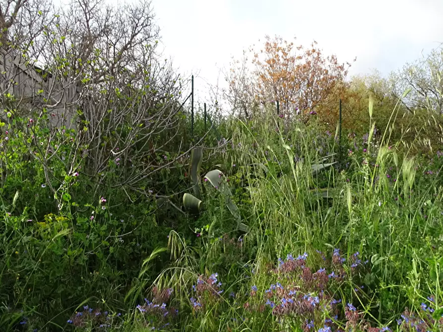 Immagine 3 di Casa indipendente in vendita  in Via Monte Grappa 7 a Belpasso
