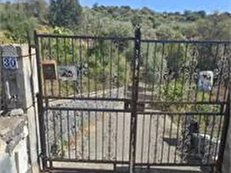 Immagine 4 di Terreno agricolo in vendita  in Via Luigi Pirandello a Camporotondo Etneo