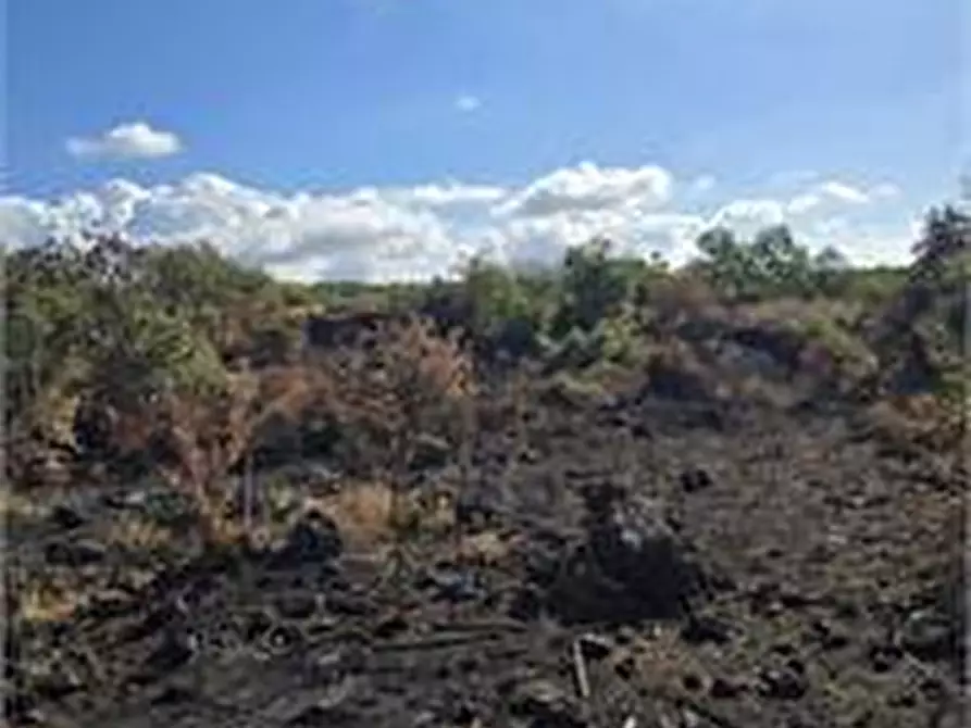 Immagine 6 di Terreno agricolo in vendita  in Contrada Guardia Ascino a Belpasso