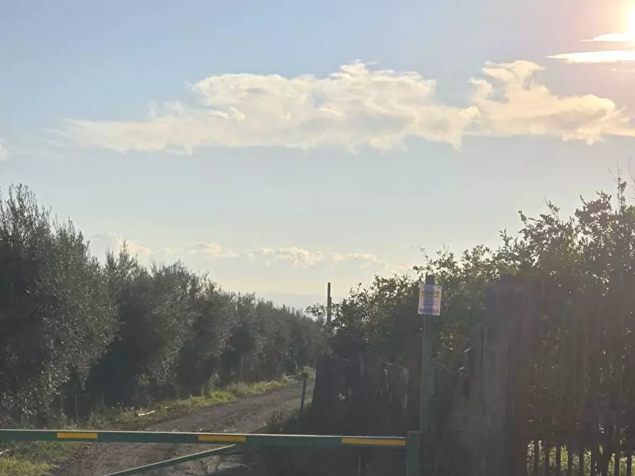 Immagine 20 di Terreno agricolo in vendita  in Via San Nicola 19 a Motta Sant'anastasia