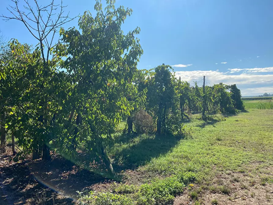 Immagine 15 di Rustico / casale in vendita  in VIA FOSSETTA OVEST 11 a Soliera