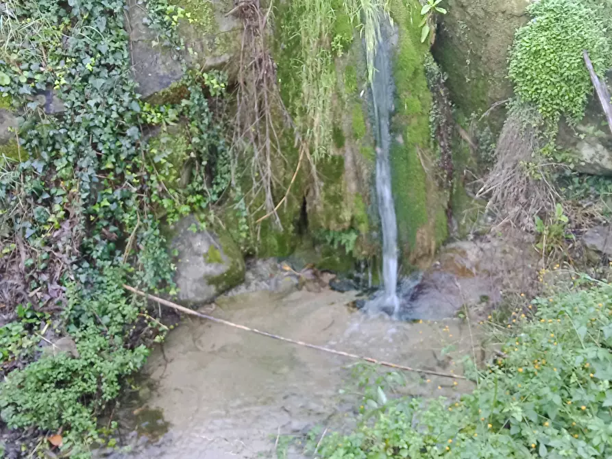 Immagine 7 di Porzione di casa in vendita  in Via Ughetto 18 a Ventimiglia