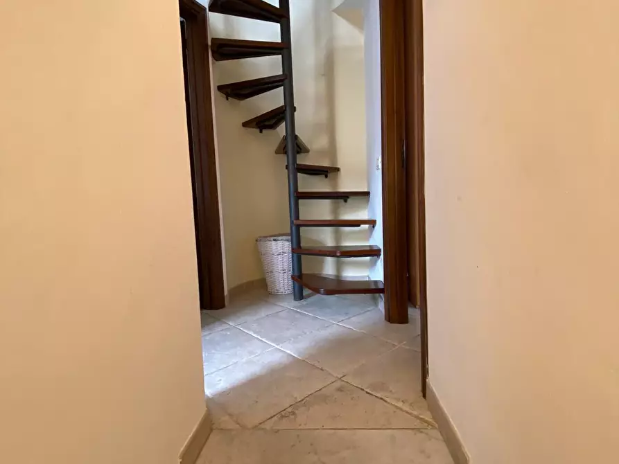 Immagine 3 di Terratetto in affitto  a Viareggio