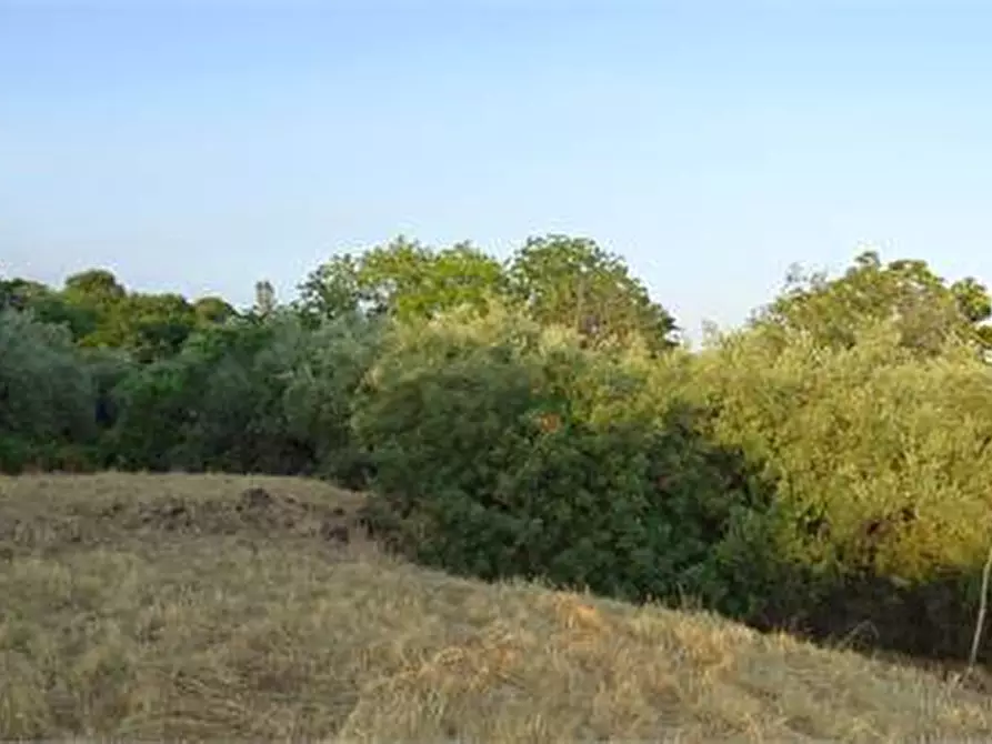 Immagine 20 di Terreno agricolo in vendita  in Vico Calvagna a Ragalna