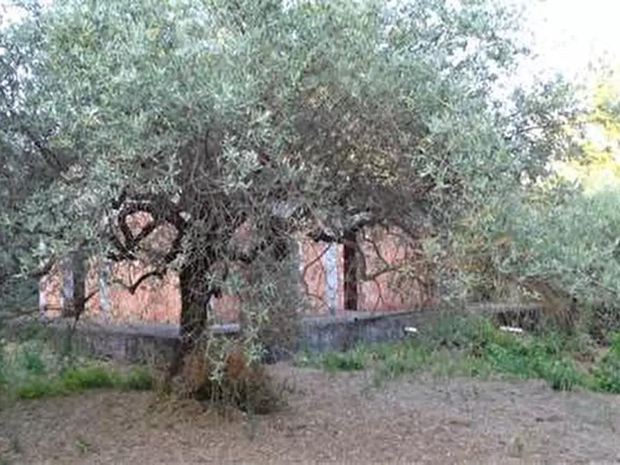 Immagine 4 di Terreno agricolo in vendita  in Vico Calvagna a Ragalna