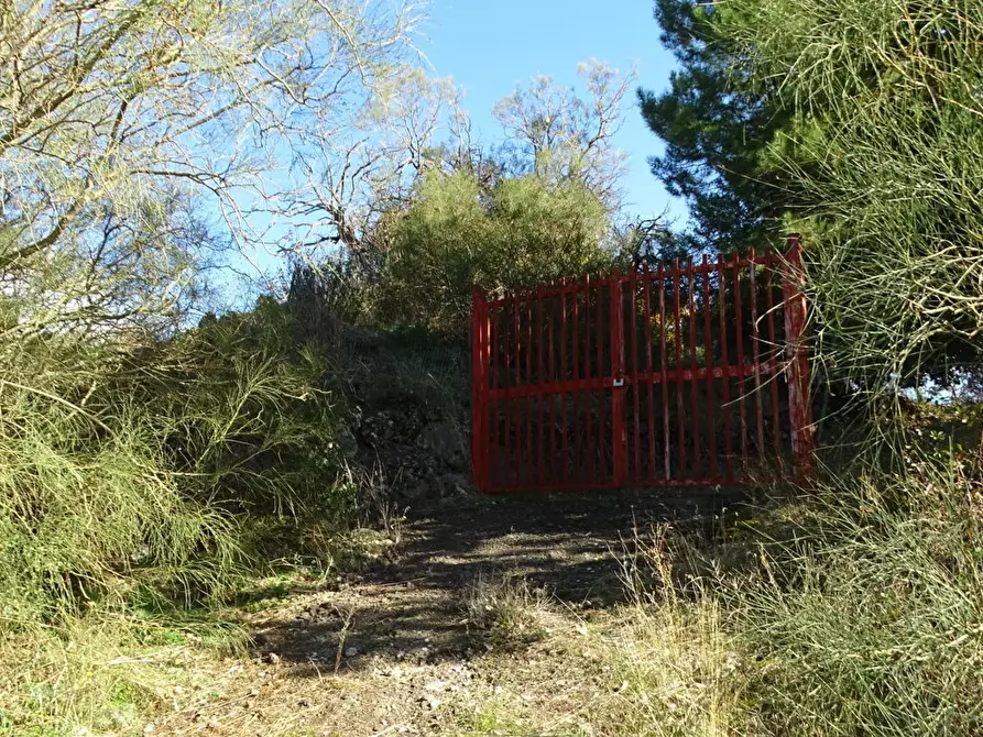 Immagine 15 di Terreno agricolo in vendita  in SP158 a Biancavilla