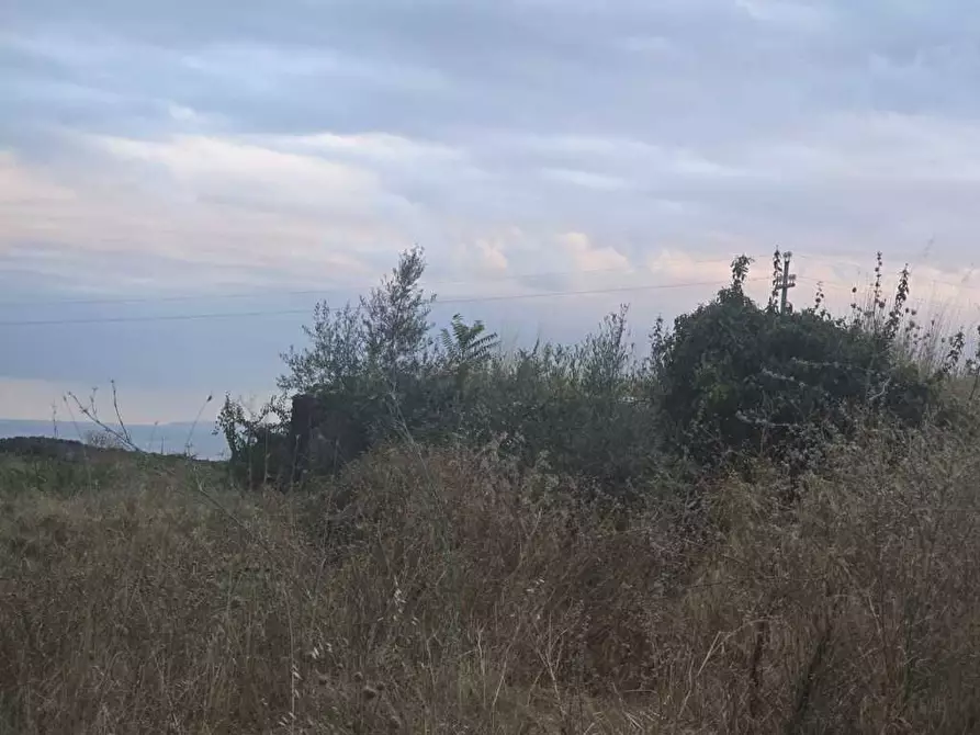 Immagine 1 di Terreno agricolo in vendita  in Via Risorgimento 31-33 a Camporotondo Etneo