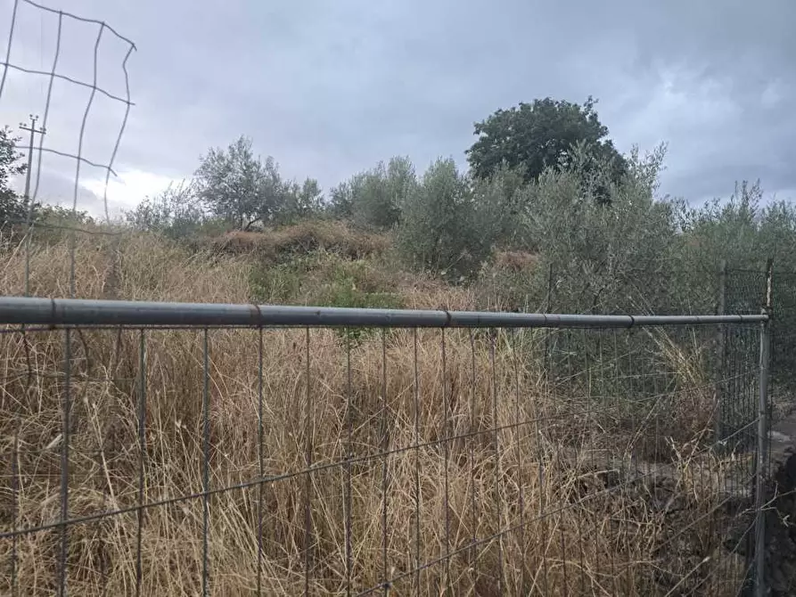 Immagine 5 di Terreno agricolo in vendita  in Via Risorgimento 31-33 a Camporotondo Etneo