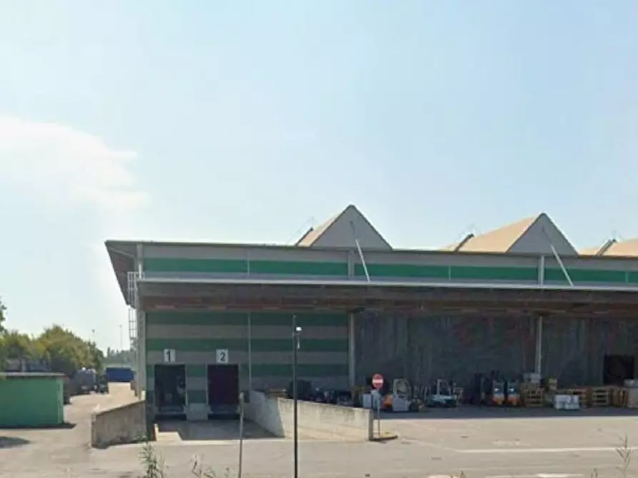 Immagine 10 di Attività artigianale in affitto  in via Martin Luther King 1/23 a Rolo