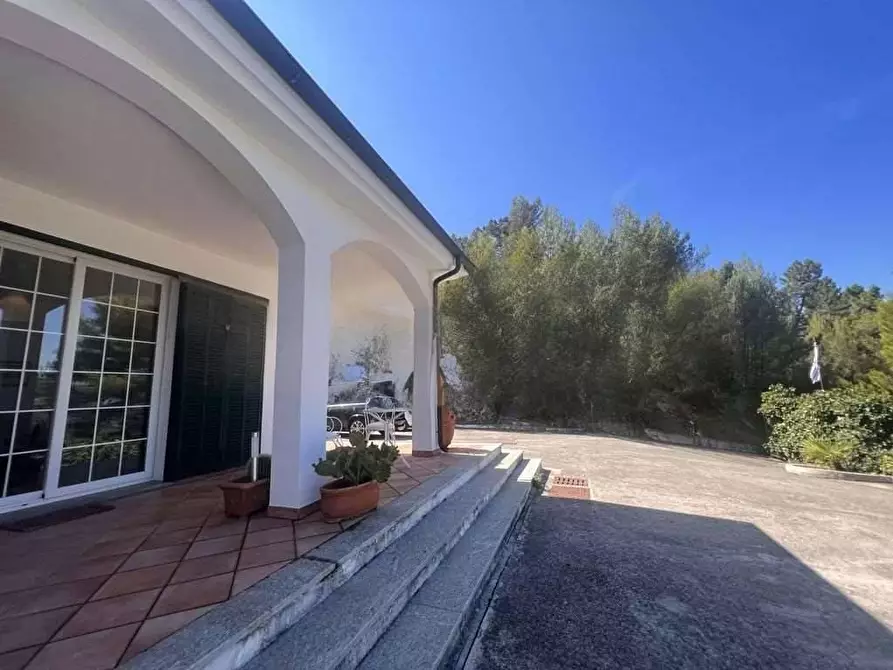 Immagine 40 di Villa in vendita  in Strada della villa a Seborga