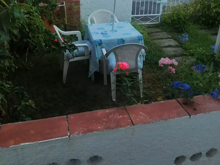 Immagine 12 di Terratetto in vendita  a Viareggio