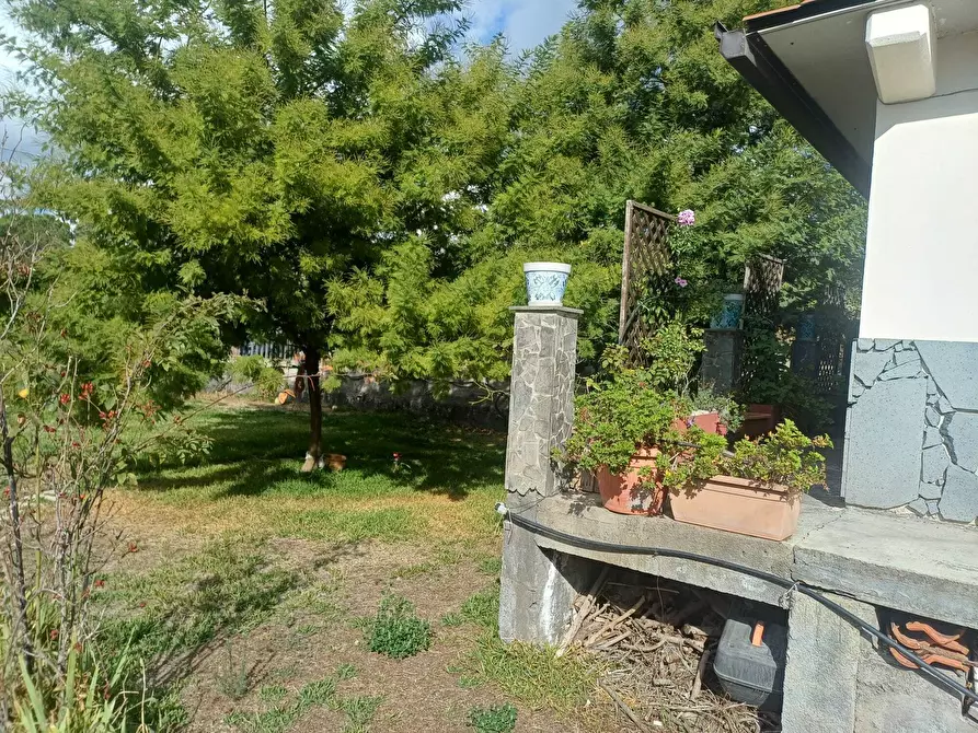 Immagine 9 di Terreno agricolo in vendita  in Via Friuli snc a Mascalucia