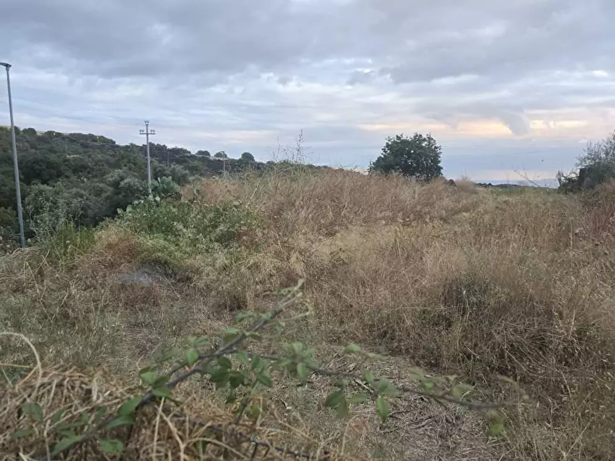 Immagine 2 di Terreno agricolo in vendita  in Via Risorgimento 31-33 a Camporotondo Etneo
