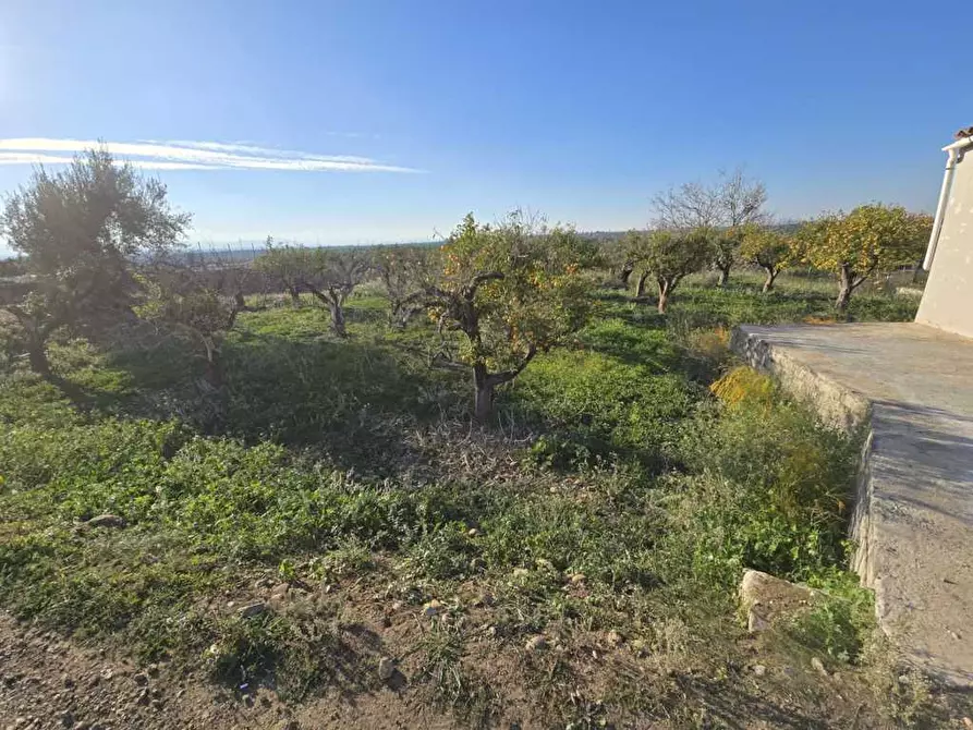 Immagine 14 di Terreno agricolo in vendita  in Via San Nicola 19 a Motta Sant'anastasia
