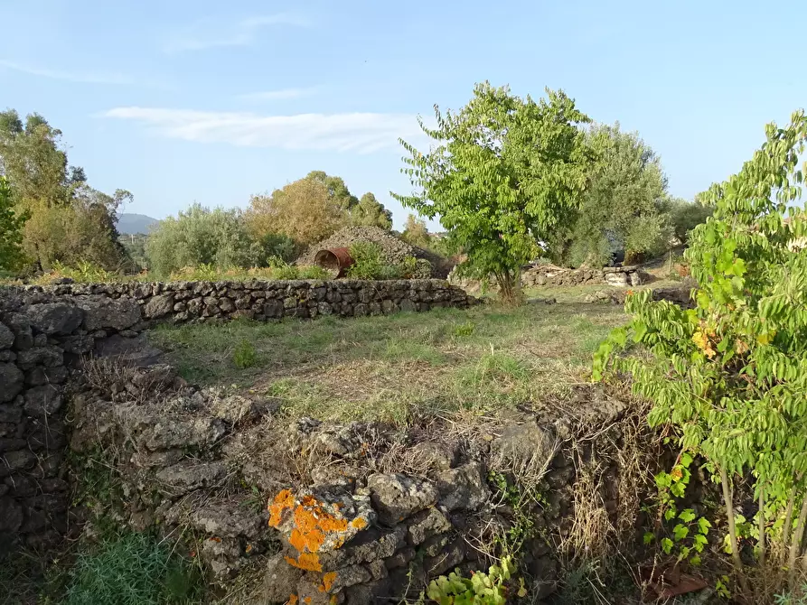 Immagine 1 di Terreno agricolo in vendita  in Via Alto Adige a Mascalucia