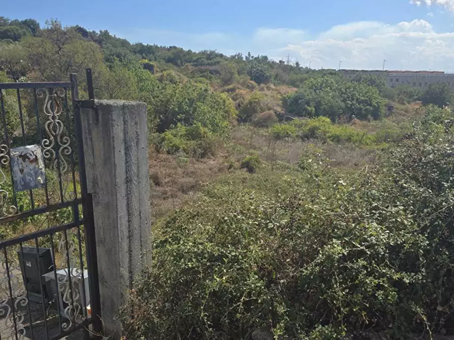 Immagine 2 di Terreno agricolo in vendita  in Via Luigi Pirandello a Camporotondo Etneo