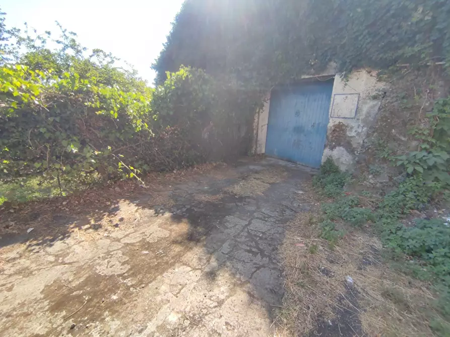 Immagine 3 di Terreno edificabile in vendita  in Via San Giovanni a Mascali