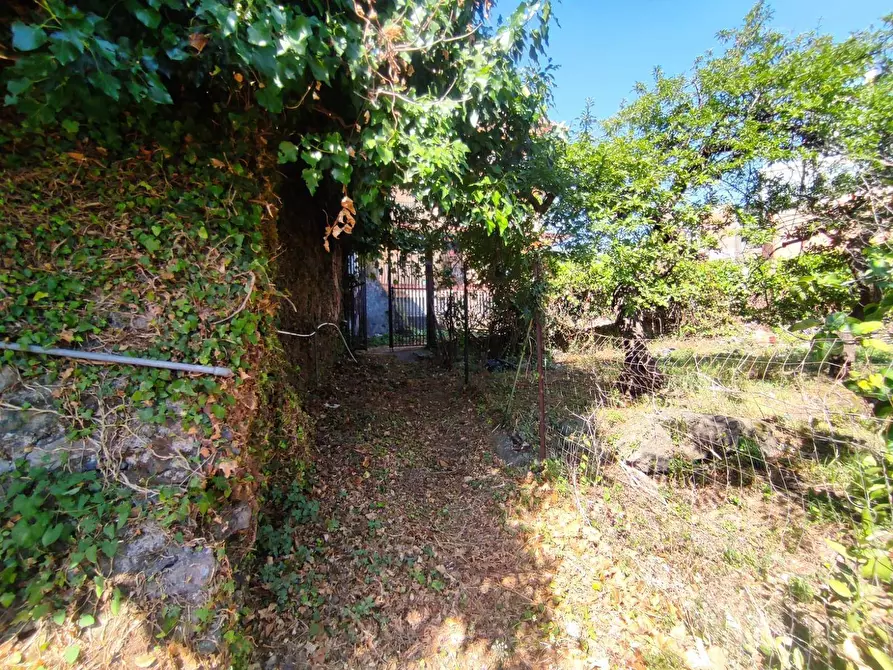 Immagine 8 di Terreno edificabile in vendita  in Via San Giovanni a Mascali