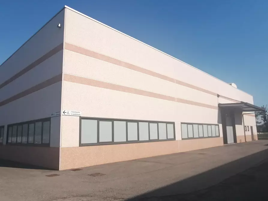 Immagine 17 di Attività artigianale in vendita  a Novi Di Modena