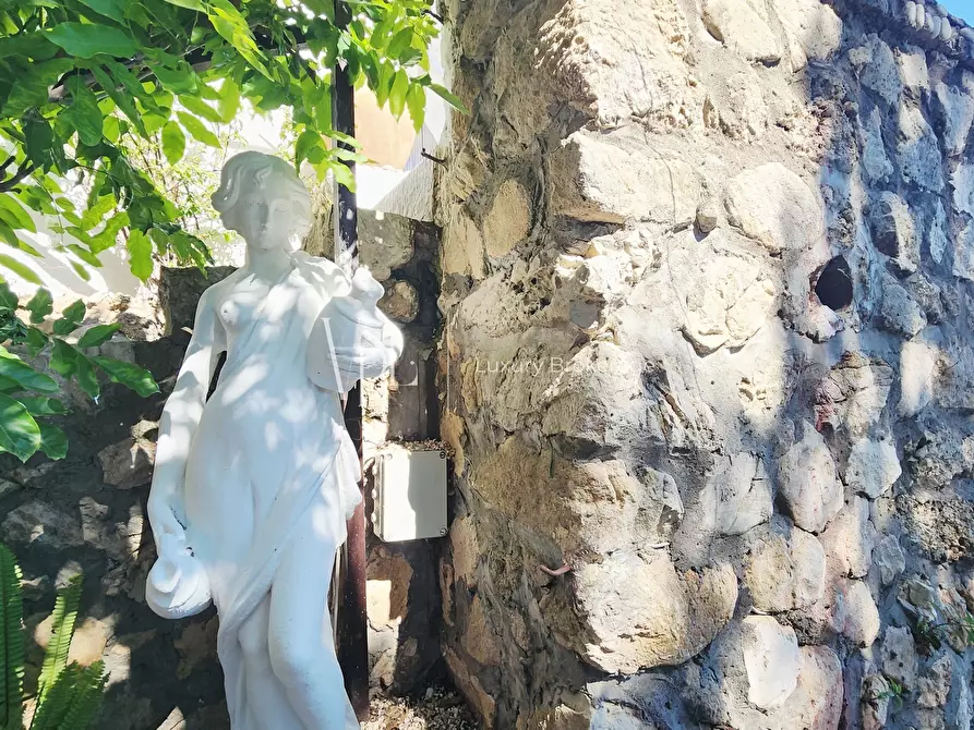 Immagine 8 di Villa in affitto  a San Felice Circeo