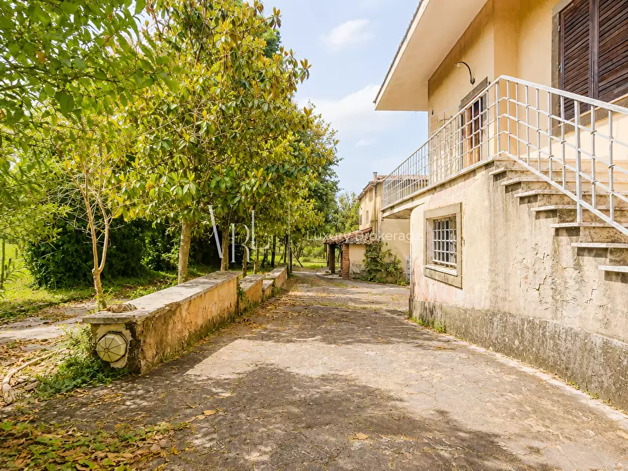 Immagine 16 di Palazzo in vendita  a Frascati