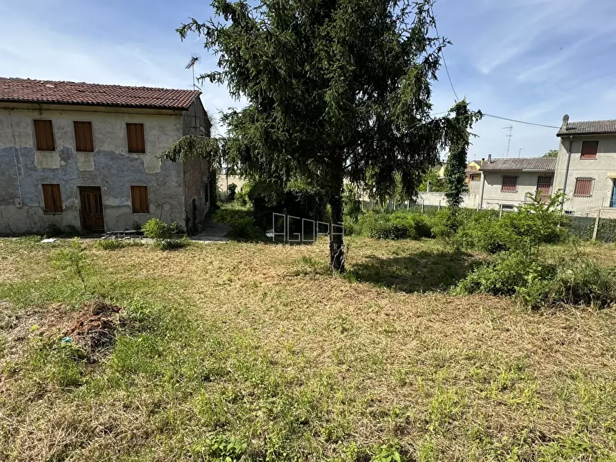 Immagine 3 di Casa indipendente in vendita  in Vicolo Samoro 1574 a Ceregnano
