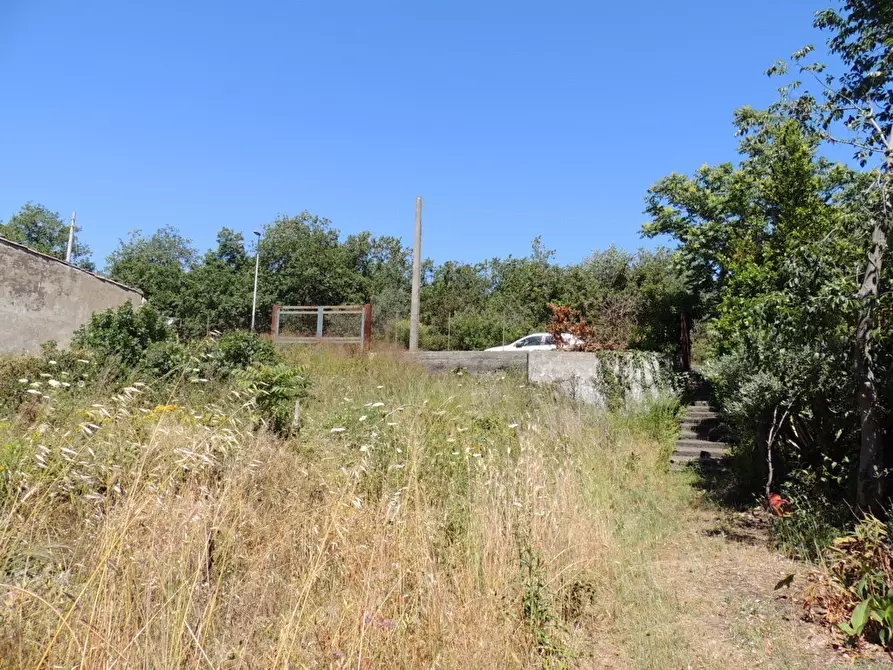 Immagine 5 di Terreno agricolo in affitto  in Via Annunziata 89 a Tremestieri Etneo