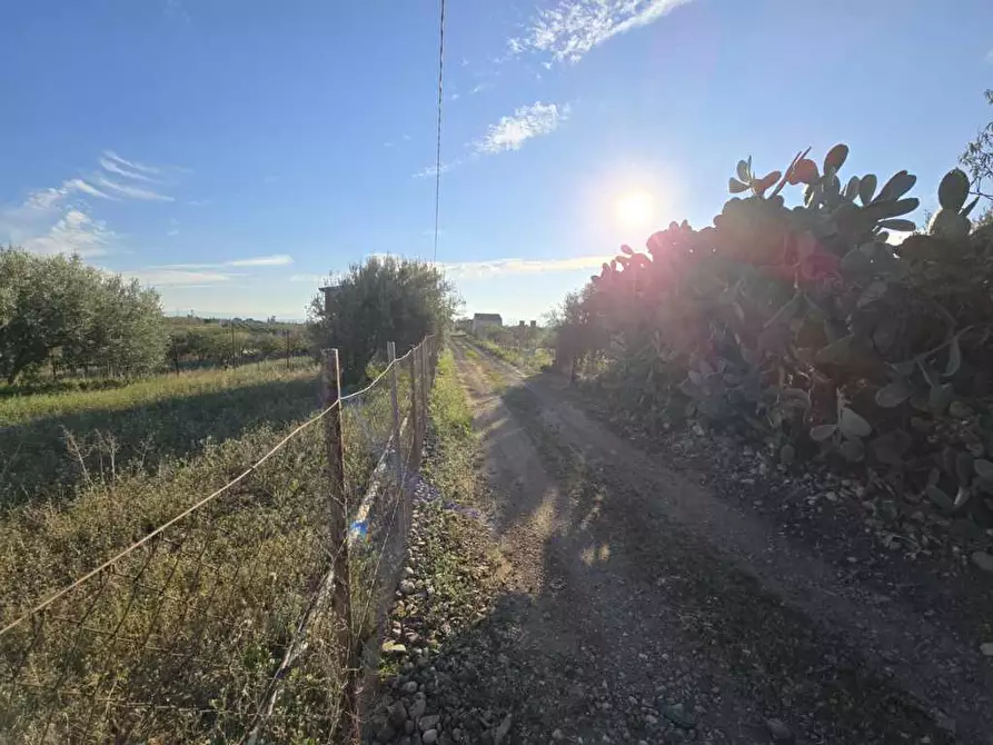 Immagine 11 di Terreno agricolo in vendita  in Via San Nicola 19 a Motta Sant'anastasia