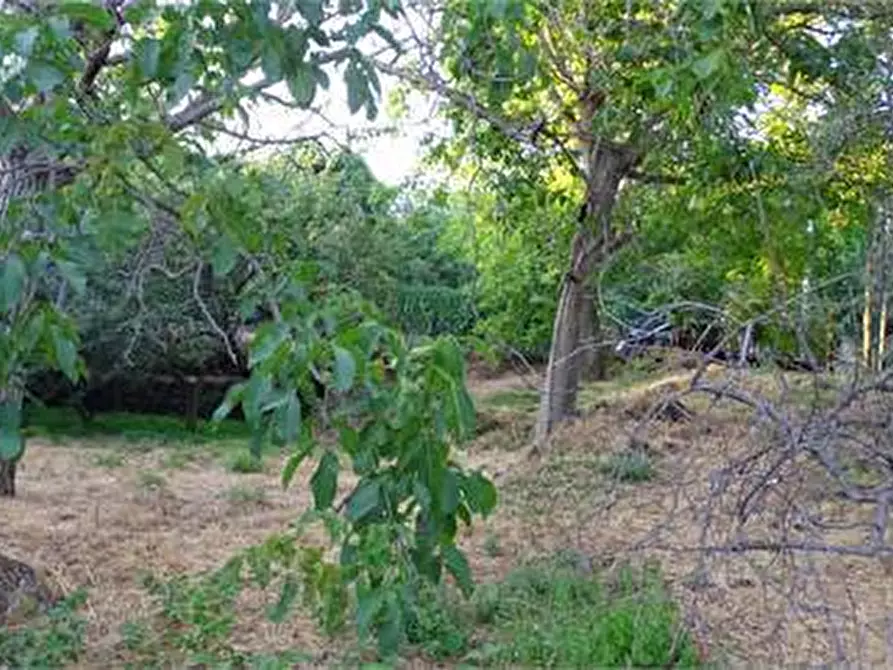 Immagine 18 di Terreno agricolo in vendita  in Vico Calvagna a Ragalna