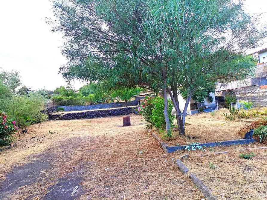 Immagine 9 di Terreno edificabile in vendita  in Via Dei Gelsomini 16 a Pedara