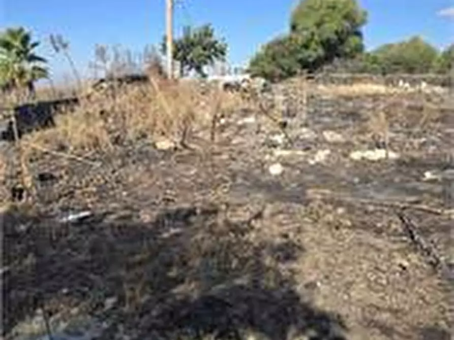 Immagine 1 di Terreno agricolo in vendita  in Contrada Guardia Ascino a Belpasso