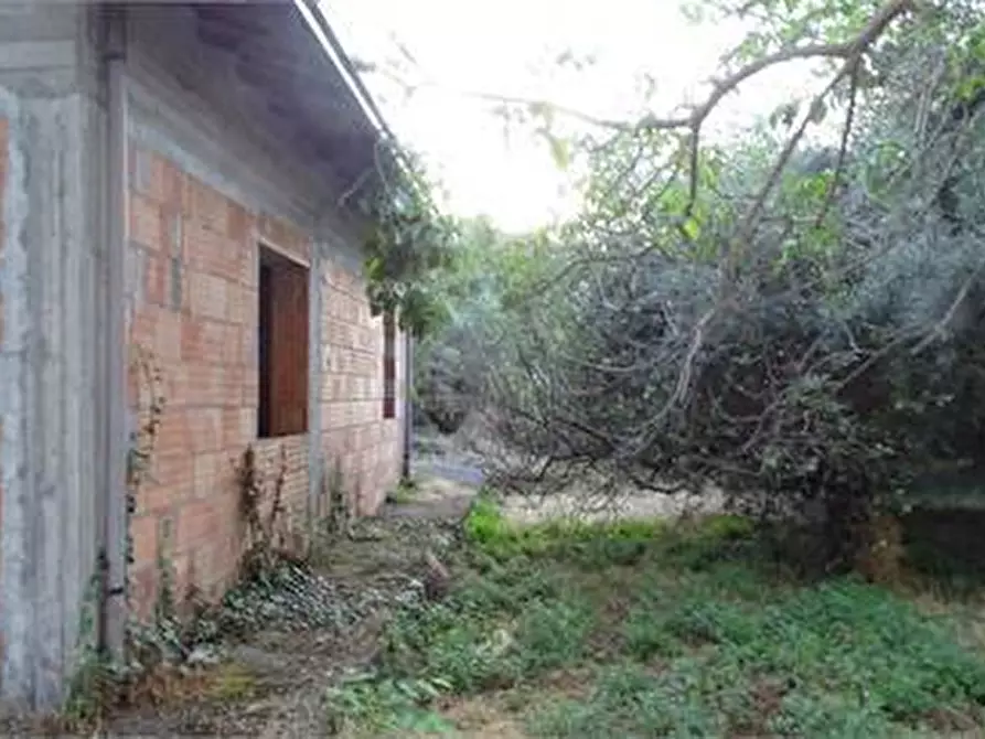 Immagine 8 di Terreno agricolo in vendita  in Vico Calvagna a Ragalna