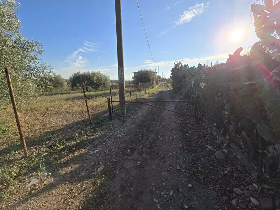 Immagine 6 di Terreno agricolo in vendita  in Via San Nicola 19 a Motta Sant'anastasia