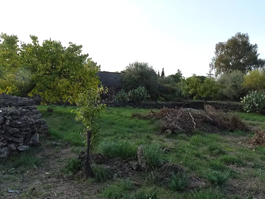 Immagine 8 di Terreno agricolo in vendita  in Via Alto Adige a Mascalucia