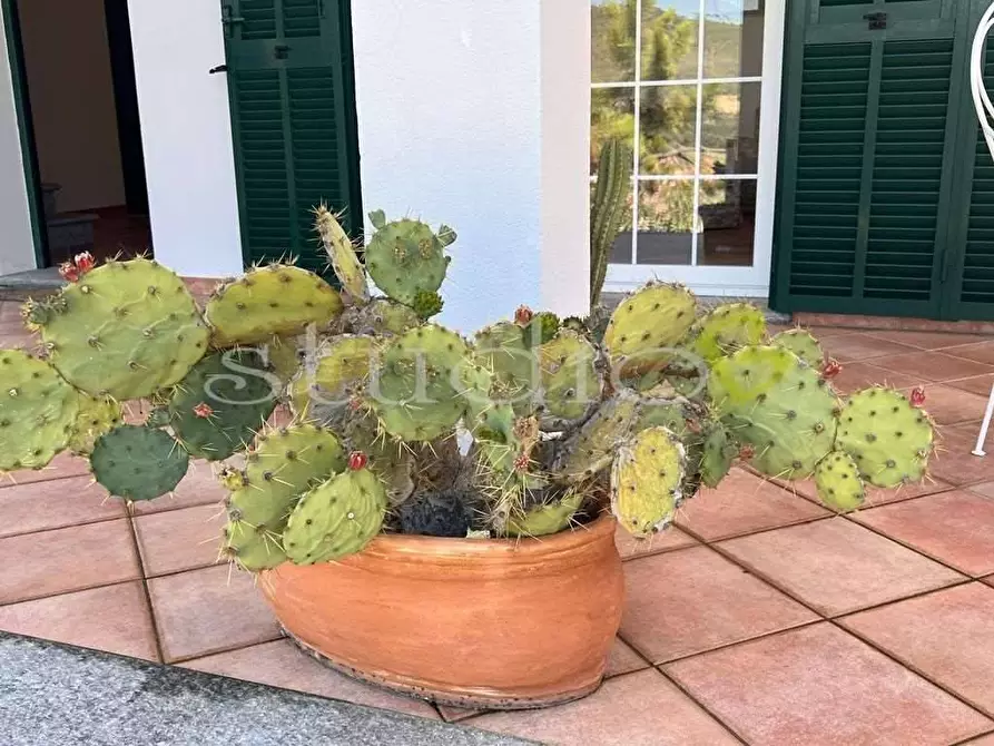 Immagine 39 di Villa in vendita  in Strada della villa a Seborga