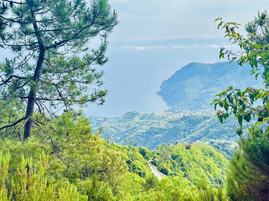Immagine 10 di Quadrilocale in vendita  in Loc. Patellano a Monterosso Al Mare