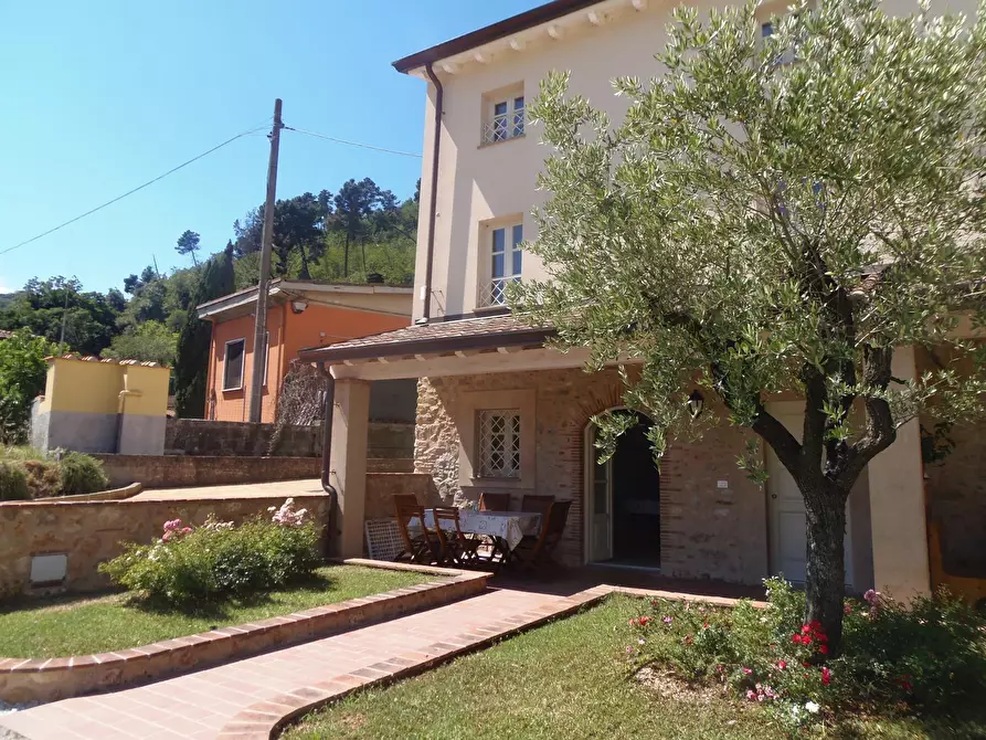 Immagine 14 di Villetta a schiera in affitto  a Camaiore