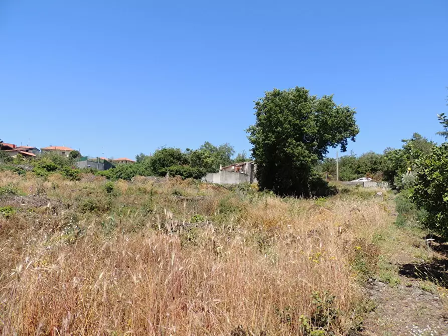 Immagine 9 di Terreno agricolo in affitto  in Via Annunziata 89 a Tremestieri Etneo