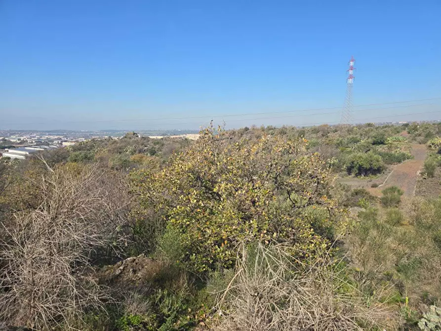 Immagine 32 di Terreno industriale in vendita  in Via Gran Bretagna a Camporotondo Etneo