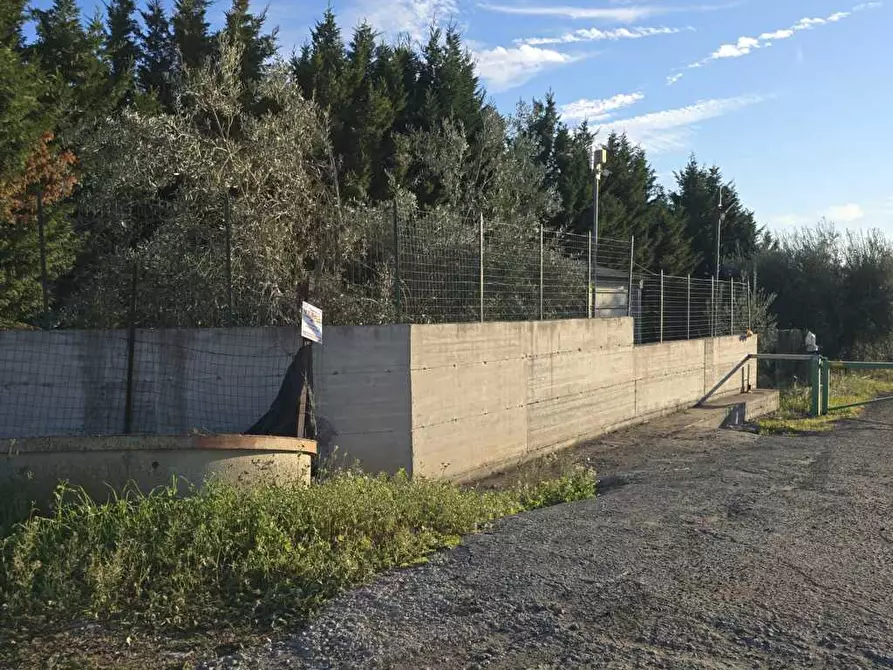 Immagine 13 di Terreno agricolo in vendita  in Via San Nicola 19 a Motta Sant'anastasia