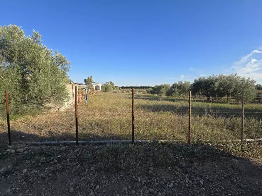 Immagine 5 di Terreno agricolo in vendita  in Via San Nicola 19 a Motta Sant'anastasia