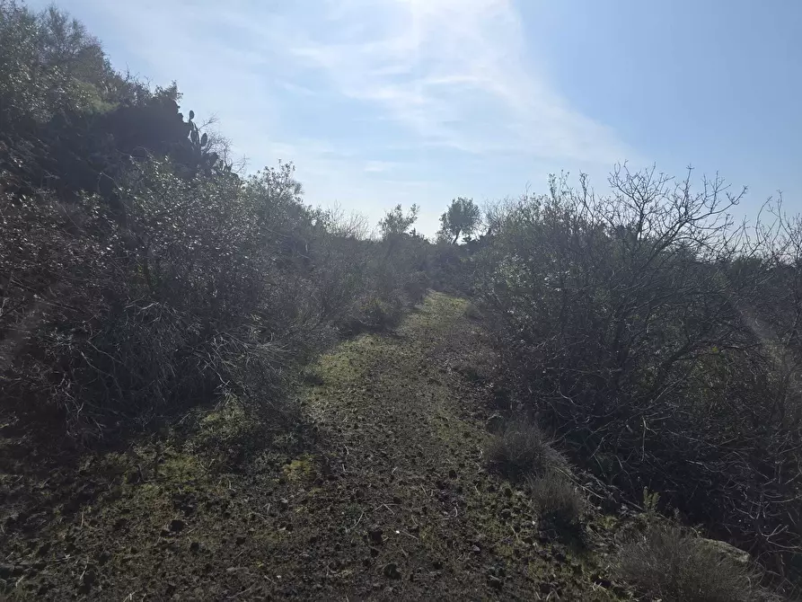 Immagine 15 di Terreno industriale in vendita  in Via Gran Bretagna a Camporotondo Etneo