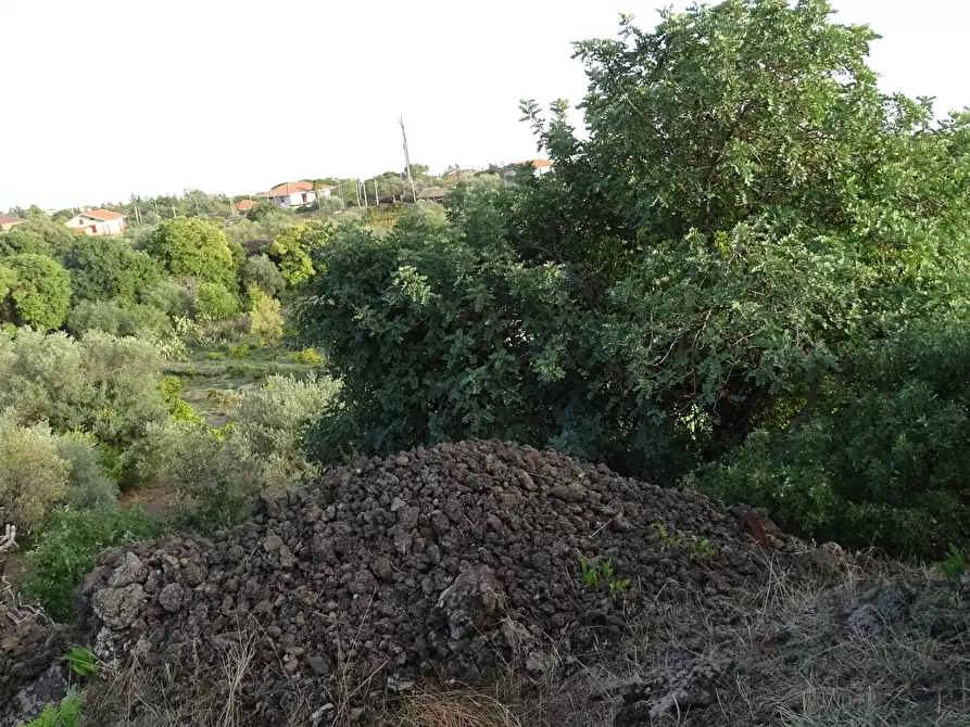 Immagine 10 di Terreno agricolo in vendita  in Via Alto Adige a Mascalucia