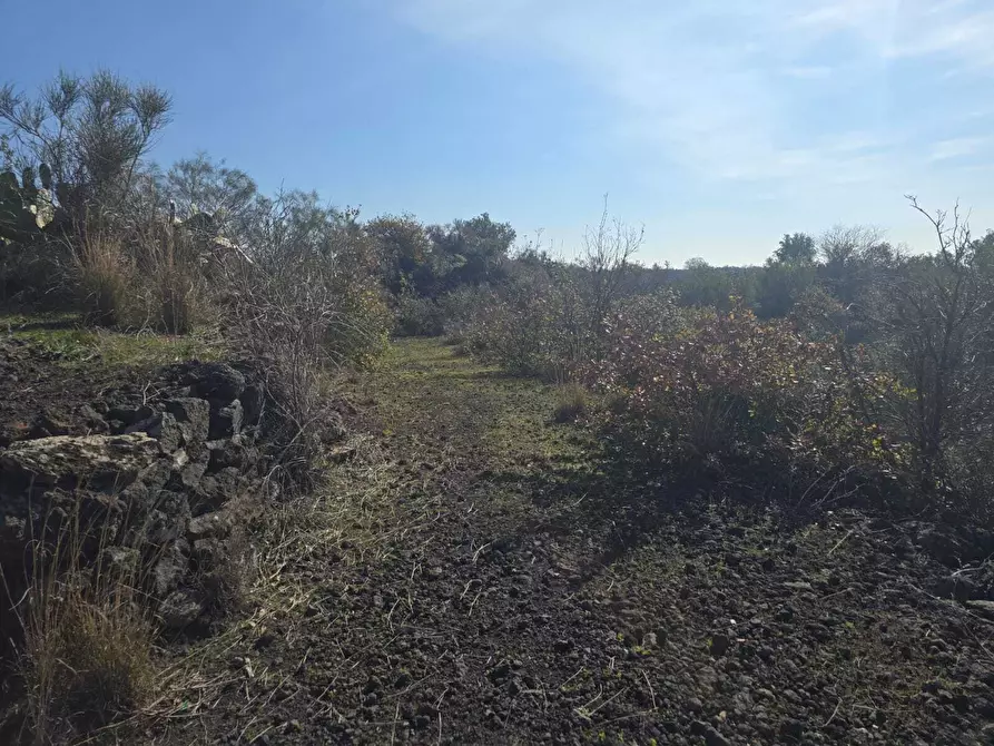 Immagine 17 di Terreno industriale in vendita  in Via Gran Bretagna a Camporotondo Etneo