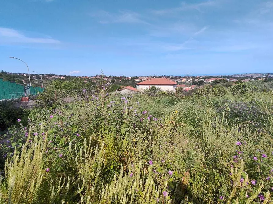 Immagine 10 di Terreno agricolo in vendita  in Via Azalee 8 a Tremestieri Etneo