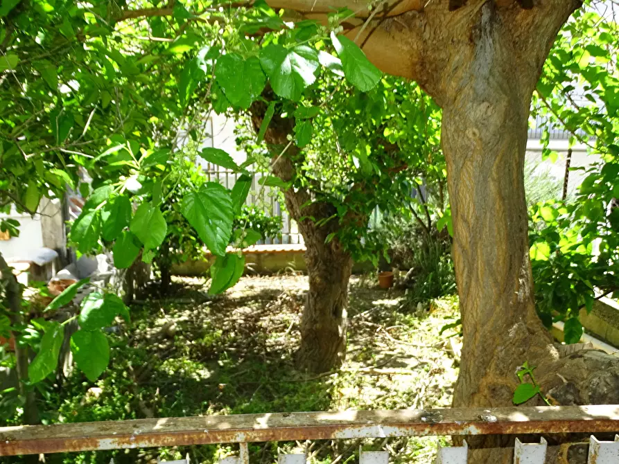 Immagine 19 di Casa indipendente in vendita  in Via delle Albicocche 17 a Catania